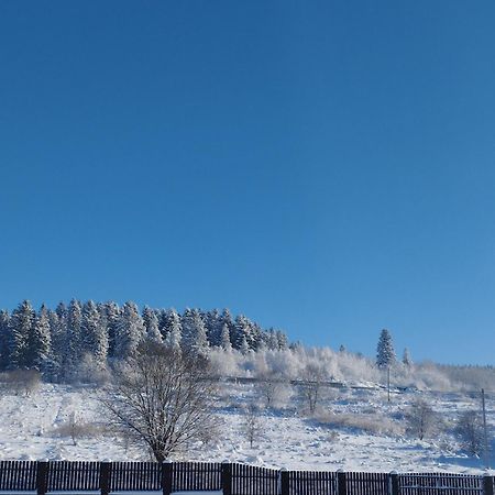 شقة Перлина Карпат Skhidnytsia المظهر الخارجي الصورة