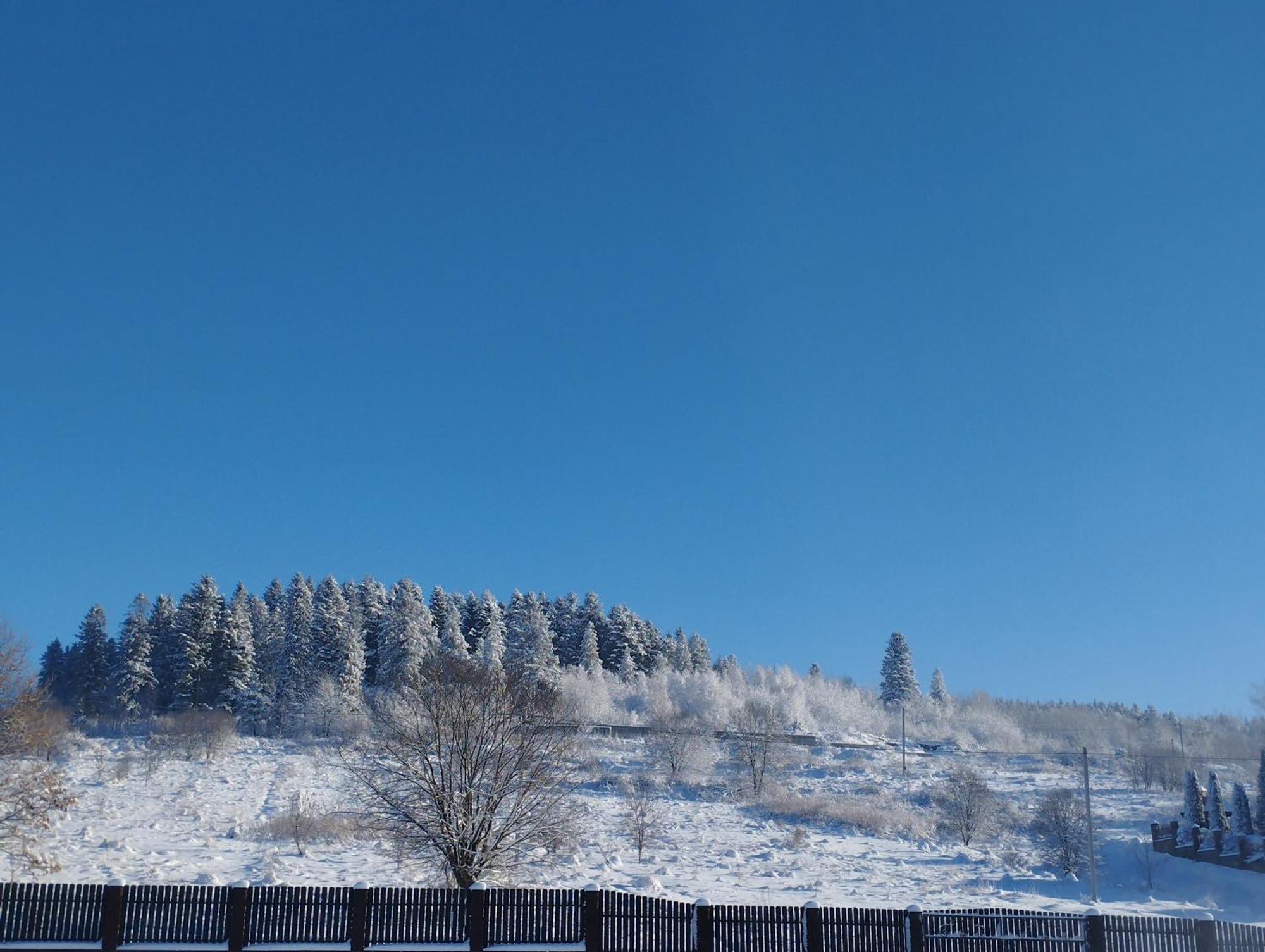شقة Перлина Карпат Skhidnytsia المظهر الخارجي الصورة